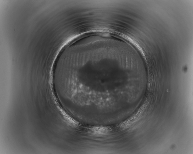 X0000097961037200804071025