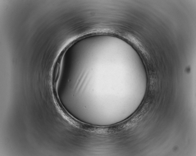 X0000097961038200804071025