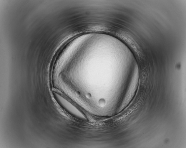X0000097961039200804071025