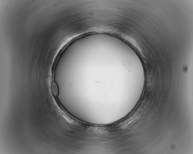 X0000097961040200804071025