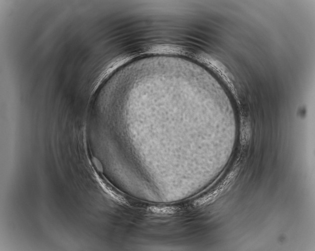 X0000097961041200804071025
