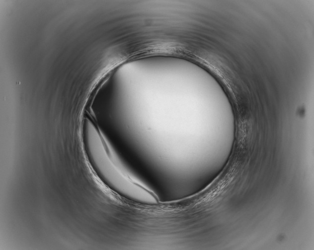 X0000097961042200804071025