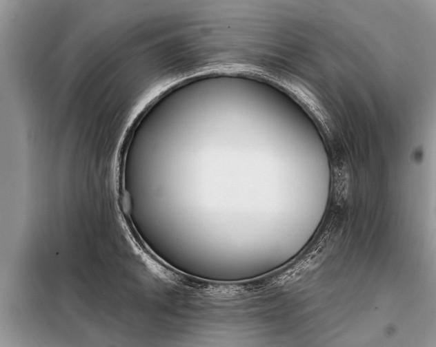 X0000097961046200804071026