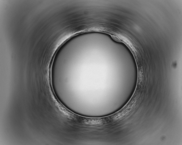 X0000097961047200804071026