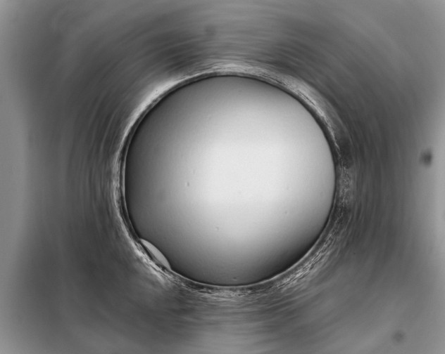 X0000097961048200804071026