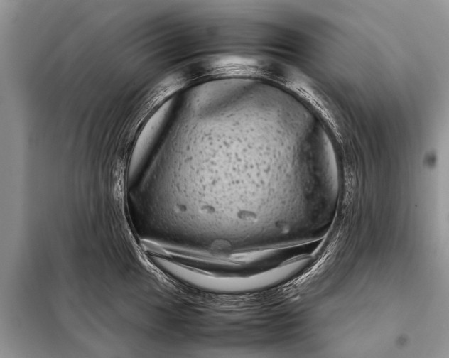X0000097961049200804071026