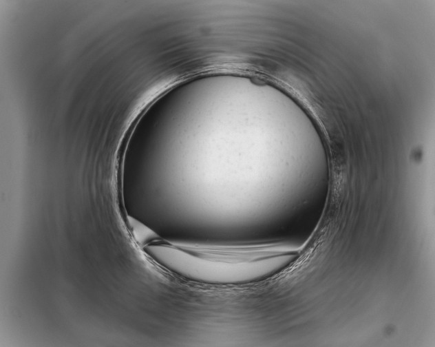 X0000097961050200804071026