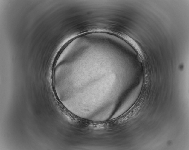 X0000097961051200804071026