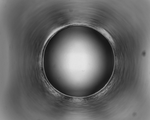 X0000097961052200804071026