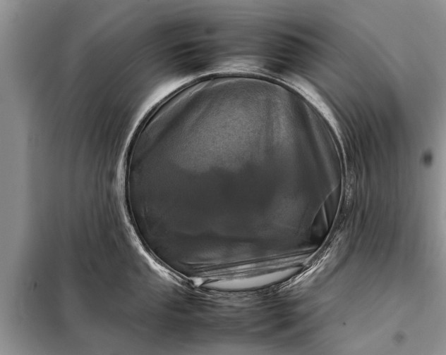 X0000097961053200804071026