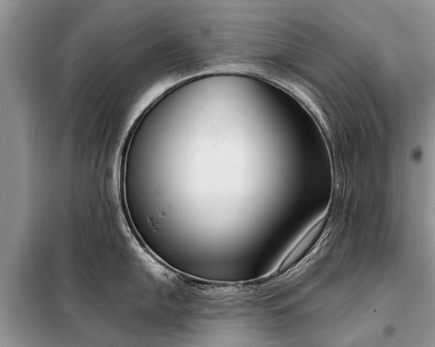 X0000097961054200804071026