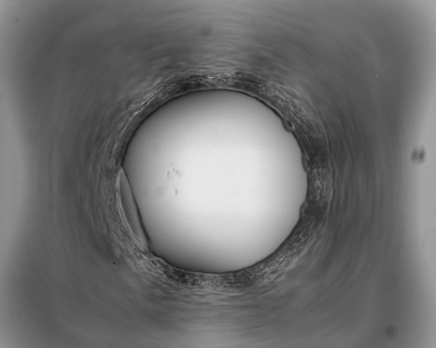 X0000097961057200804071025