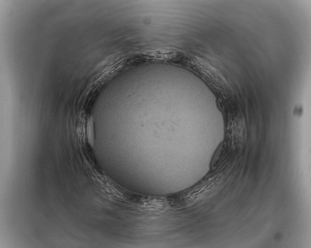 X0000097961058200804071025