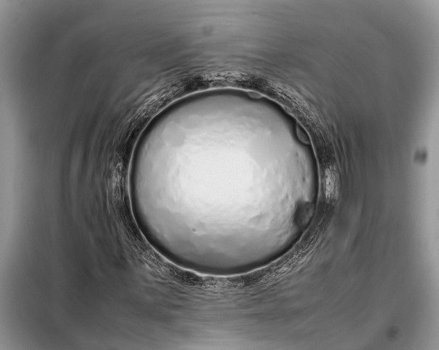 X0000097961059200804071025