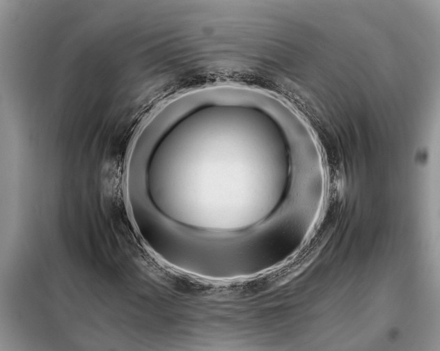 X0000097961060200804071025