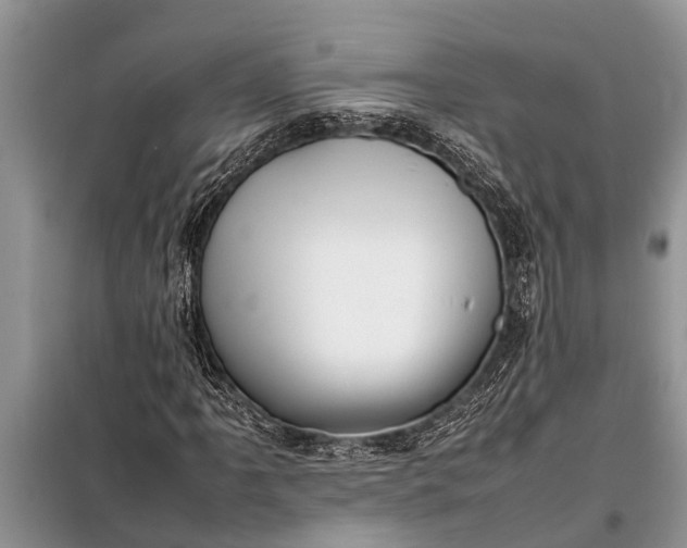 X0000097961061200804071025