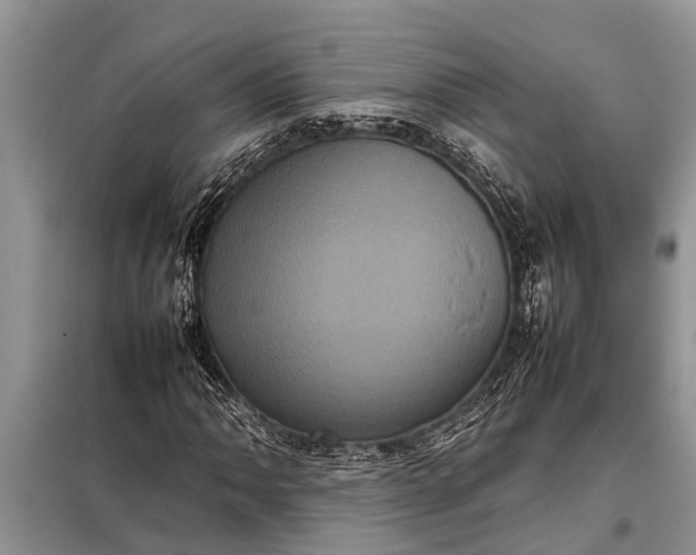 X0000097961062200804071025