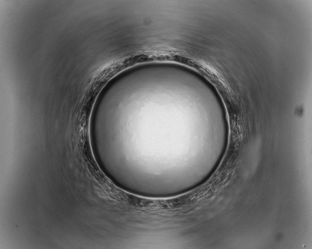 X0000097961063200804071025