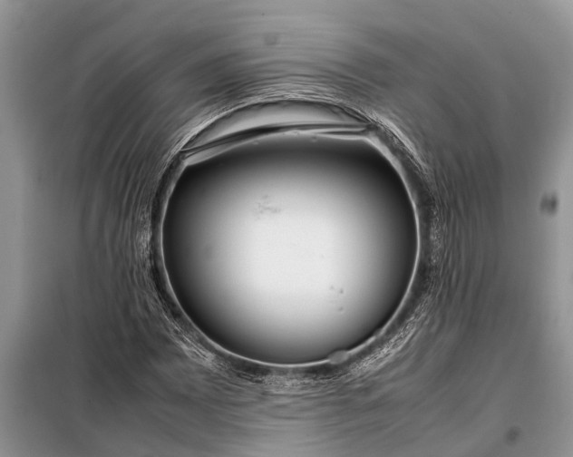 X0000097961065200804071025