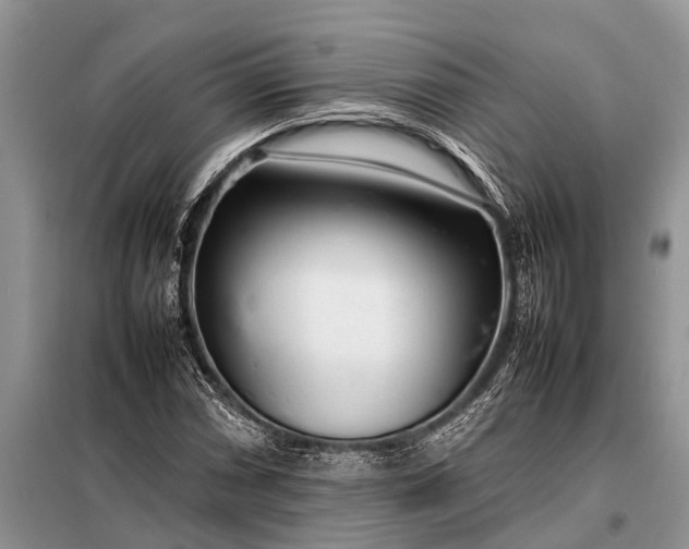 X0000097961066200804071025
