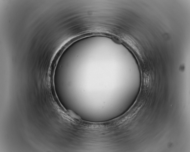 X0000097961068200804071025