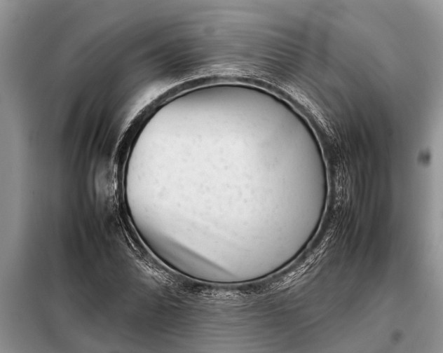 X0000097961070200804071025