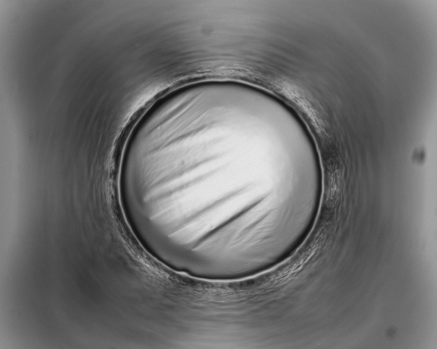 X0000097961071200804071025