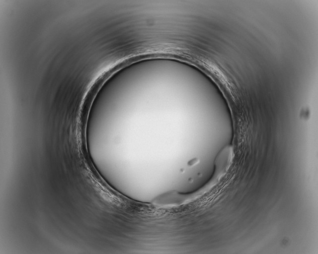 X0000097961072200804071025