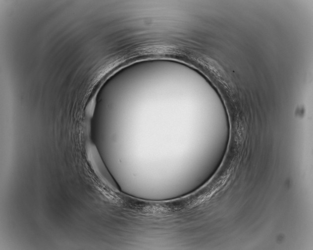 X0000097961073200804071025