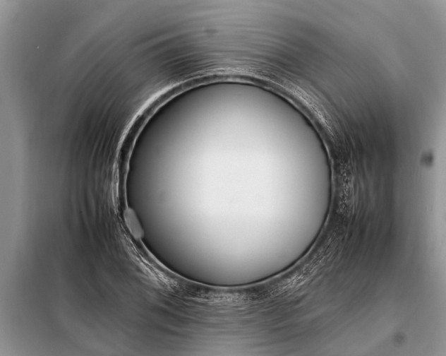 X0000097961076200804071025