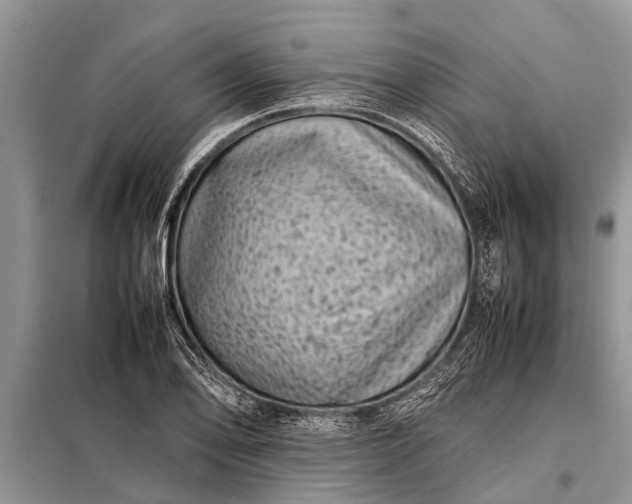 X0000097961078200804071025