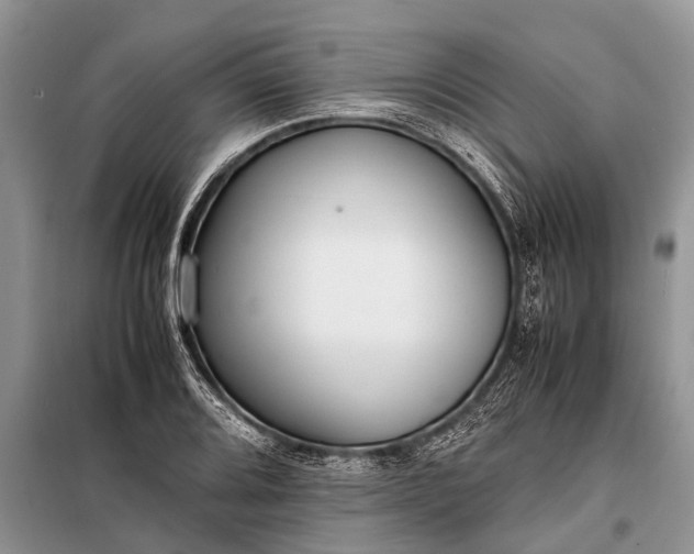 X0000097961080200804071025