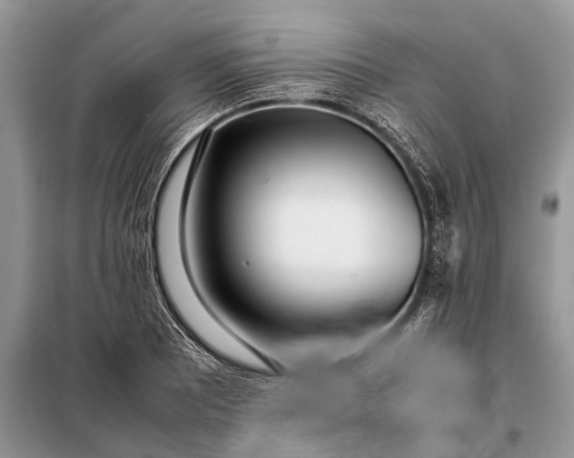 X0000097961081200804071025