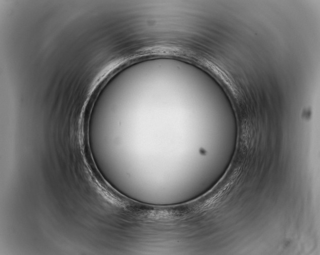 X0000097961082200804071025