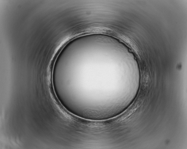 X0000097961083200804071025