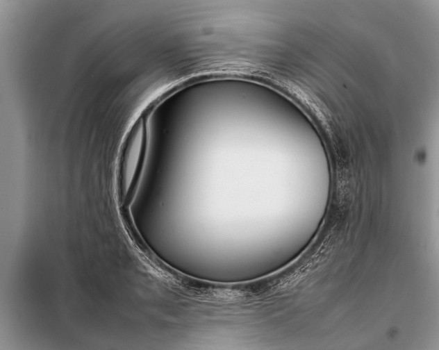X0000097961085200804071025