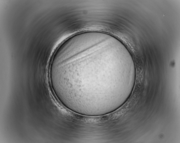 X0000097961086200804071025