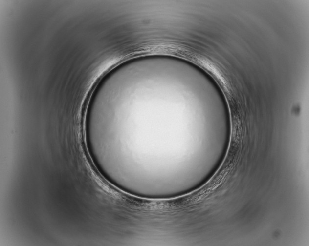 X0000097961087200804071025
