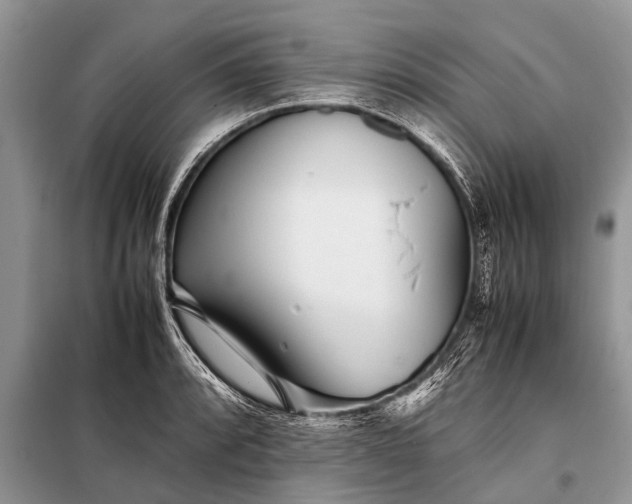 X0000097961088200804071025