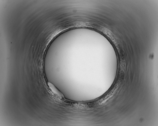 X0000097961089200804071025