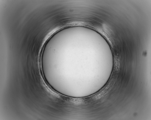 X0000097961090200804071025