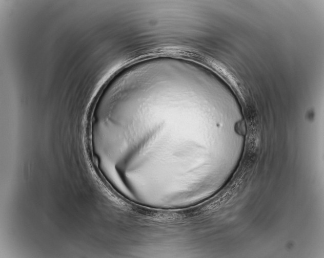 X0000097961091200804071025