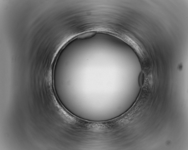 X0000097961092200804071024