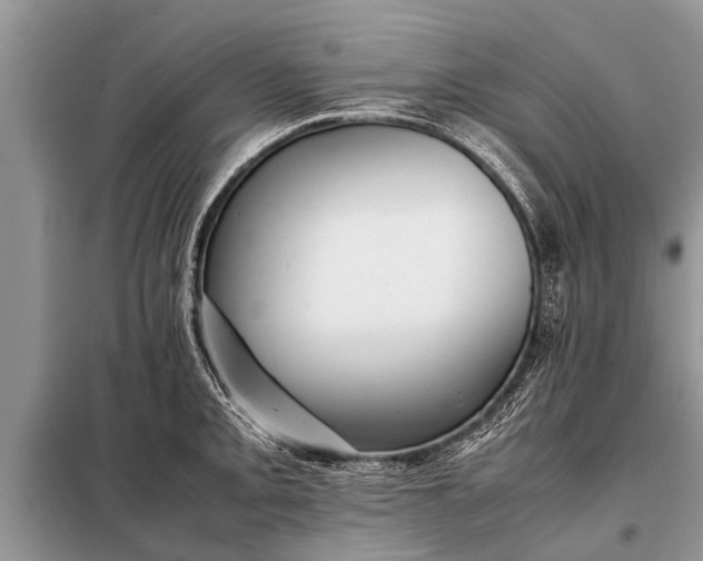 X0000097961093200804071024
