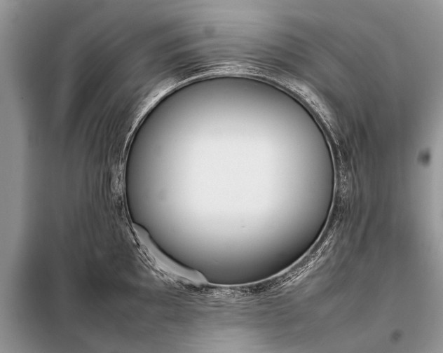 X0000097961097200804071024