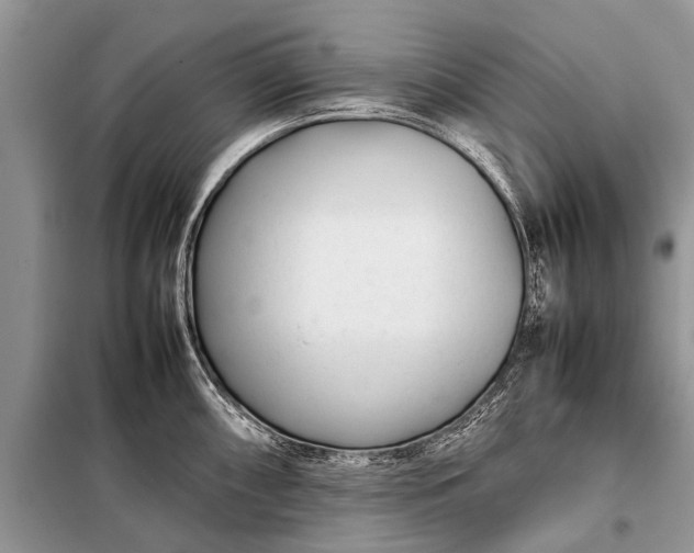X0000097961098200804071024