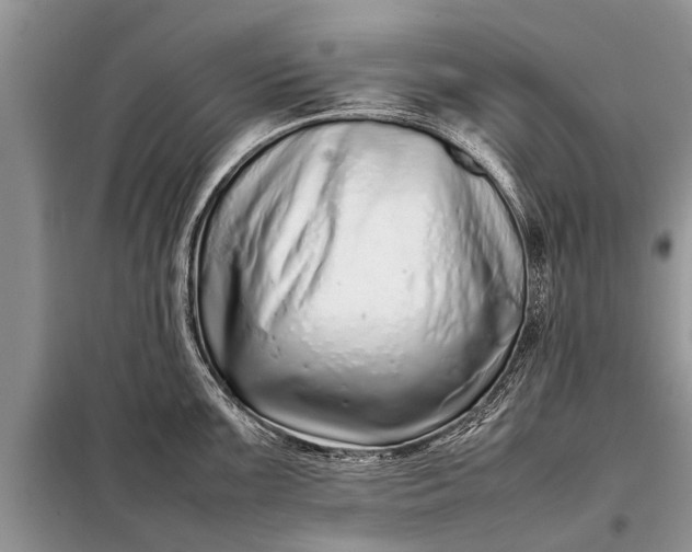 X0000097961099200804071024
