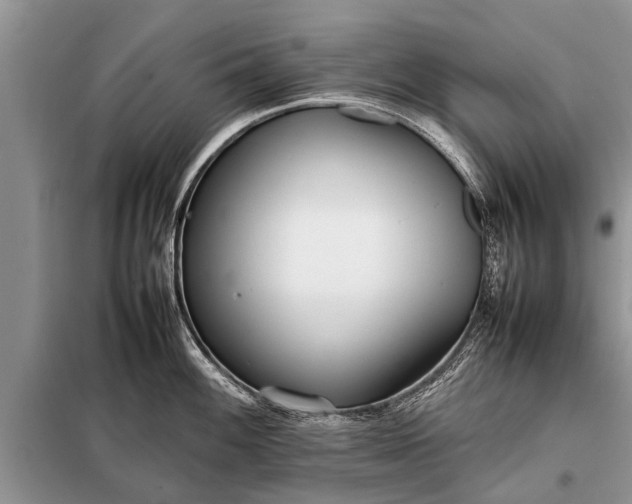 X0000097961100200804071024