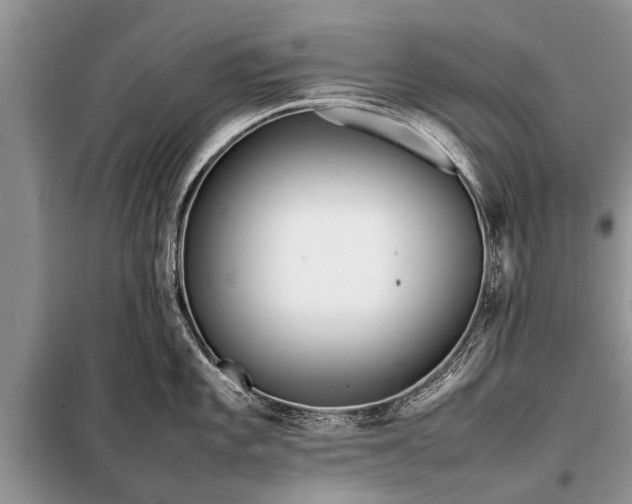X0000097961101200804071024