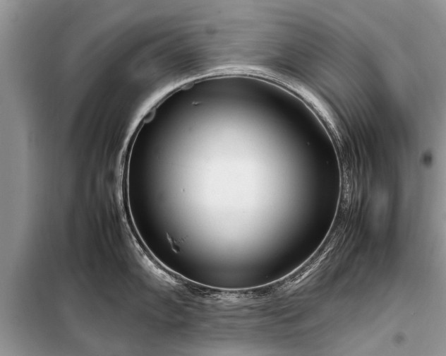 X0000097961102200804071024